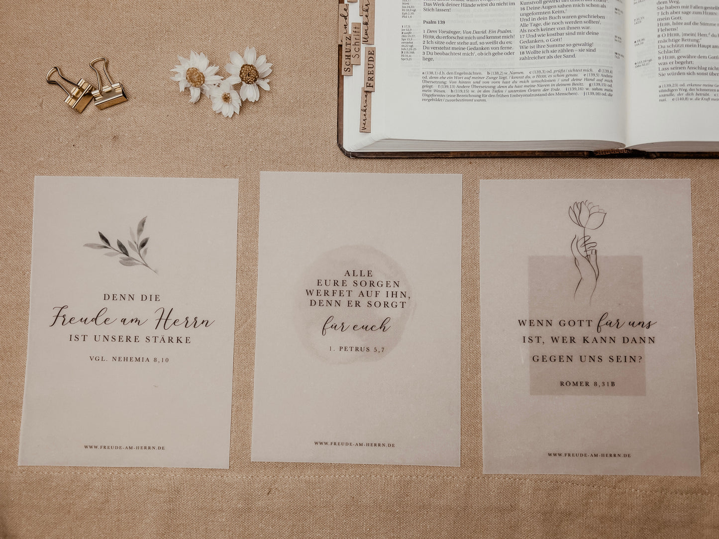 Bibeleinleger 3 Stück | Transparent