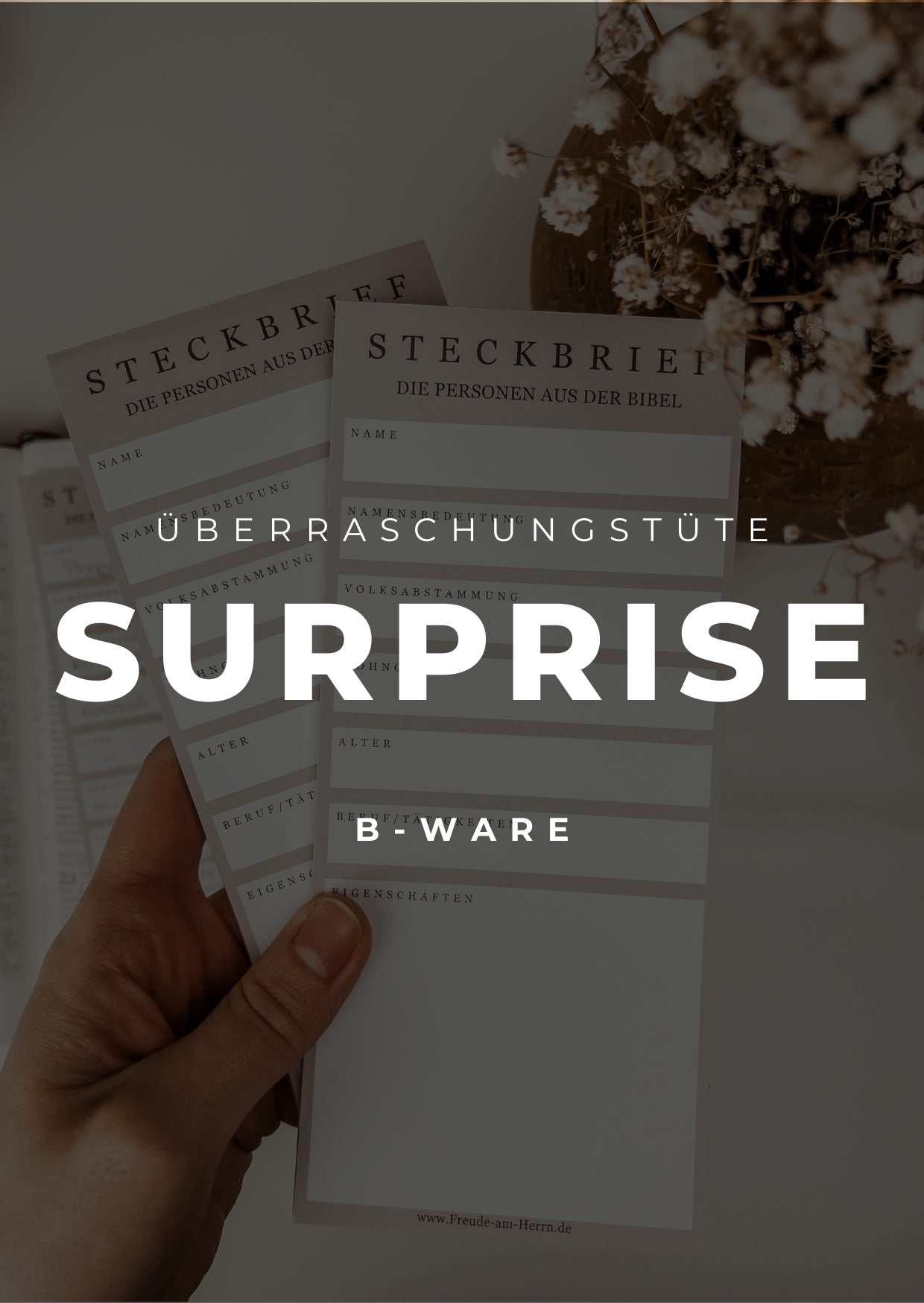Überraschungstüte | B-Ware