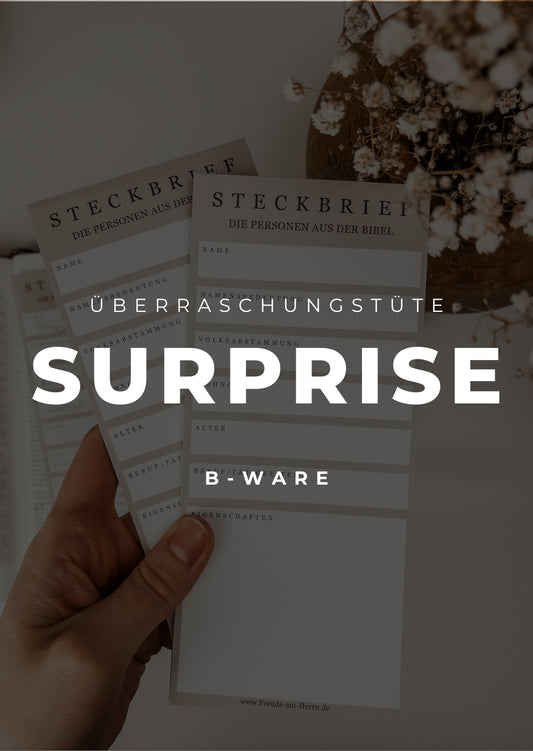 Überraschungstüte | B-Ware
