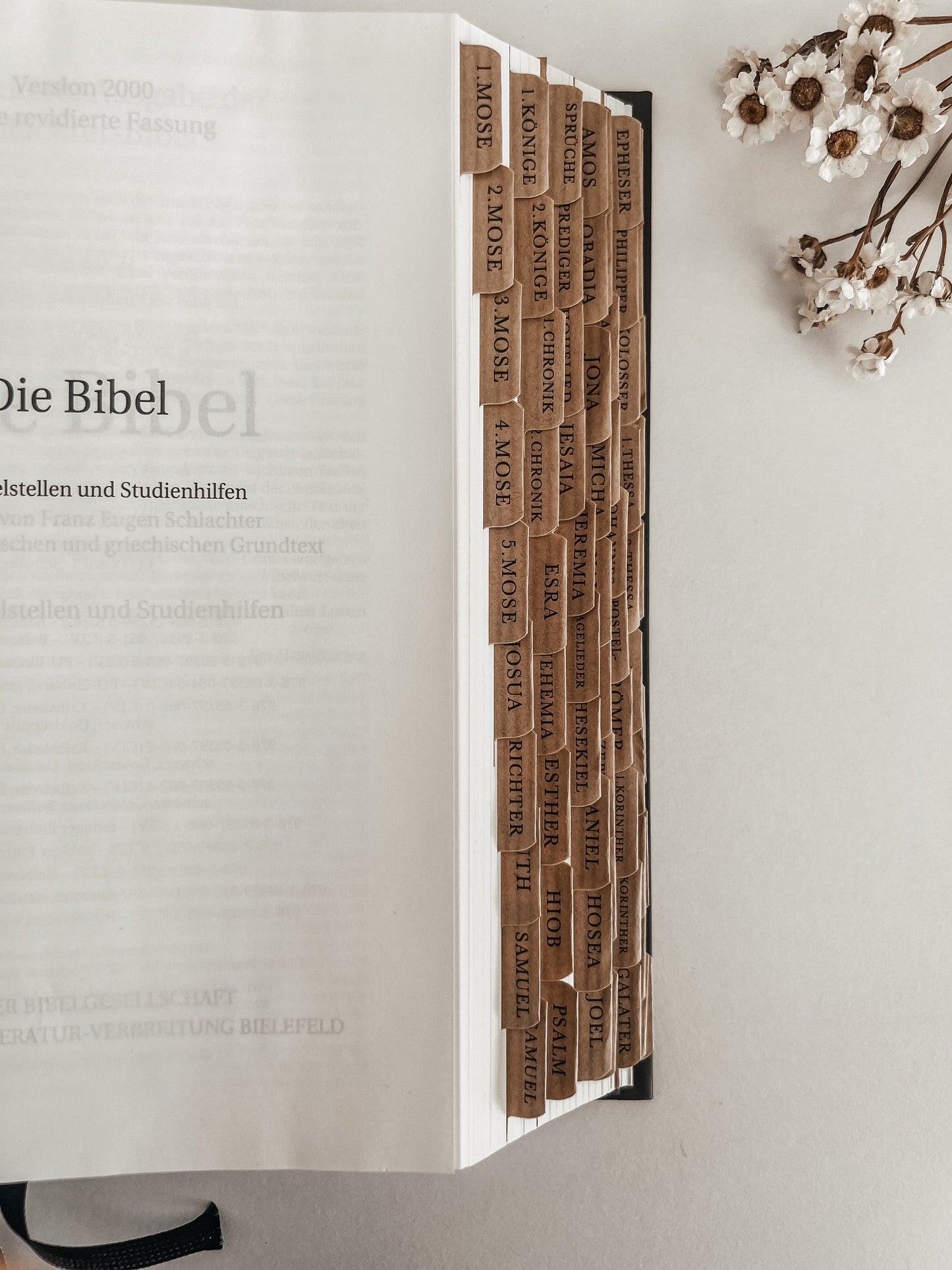 Bibelregister | Bücher der Bibel | Kraftpapier, selbstklebend