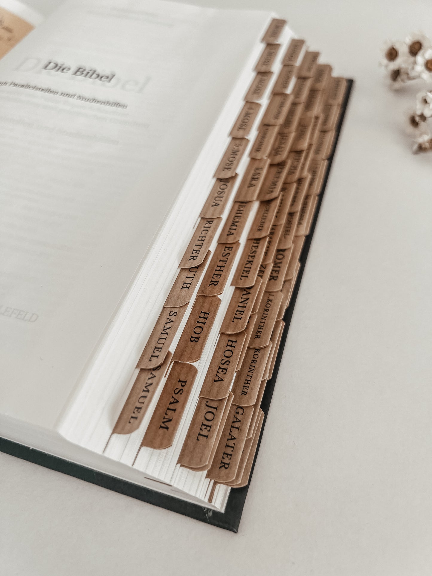 Bibelregister | Bücher der Bibel | Kraftpapier, selbstklebend