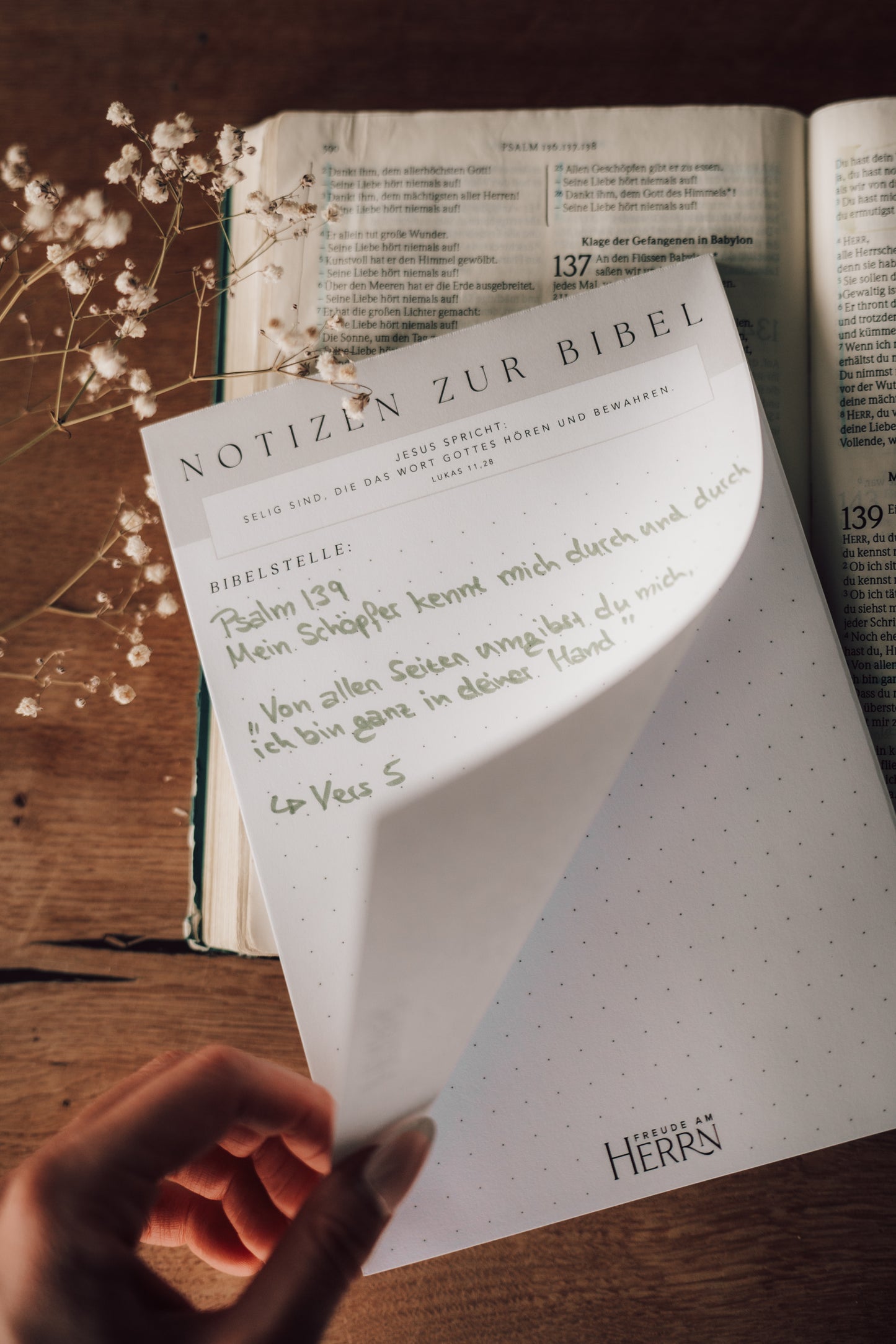 Notizen zur Bibel | A5